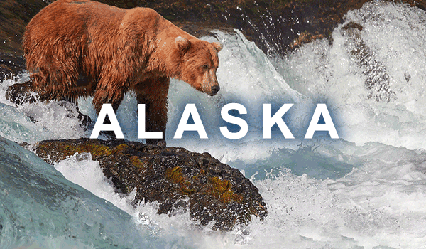 edeals_top_banner_alaska_09252024
