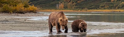 hal_alaska_17