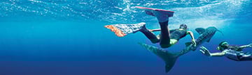 Royal Caribbean - Cozumel
