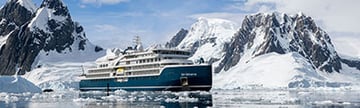 swan-antarctic_01