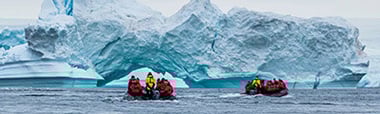 swan-antarctica_03