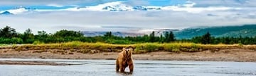Viking Alaska Cruises