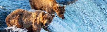 Princess Alaska Cruises