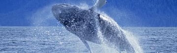 alaska-05