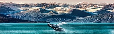 alaska-20