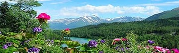 Princess Cruises- Alaska Cruises