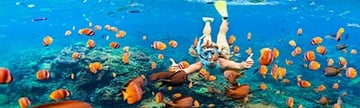 Disney Caribbean Cruises