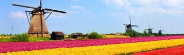 Europe Cruise: Amsterdam
